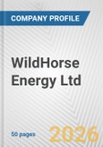 WildHorse Energy Ltd. Fundamental Company Report Including Financial, SWOT, Competitors and Industry Analysis- Product Image