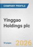 Yinggao Holdings plc Fundamental Company Report Including Financial, SWOT, Competitors and Industry Analysis- Product Image