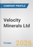 Velocity Minerals Ltd. Fundamental Company Report Including Financial, SWOT, Competitors and Industry Analysis- Product Image