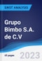 Grupo Bimbo S.A. de C.V. - Strategy, SWOT and Corporate Finance Report - Product Thumbnail Image