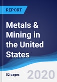 Metals & Mining in the United States- Product Image