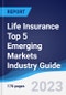 Life Insurance Top 5 Emerging Markets Industry Guide 2018-2027 - Product Thumbnail Image