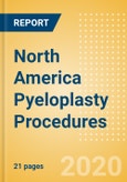 North America Pyeloplasty Procedures Outlook to 2025- Product Image