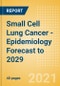 Small Cell Lung Cancer - Epidemiology Forecast to 2029 - Product Thumbnail Image