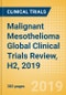 Malignant Mesothelioma Global Clinical Trials Review, H2, 2019 - Product Thumbnail Image