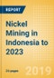 Nickel Mining in Indonesia to 2023 - Product Thumbnail Image
