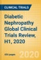 Diabetic Nephropathy Global Clinical Trials Review, H1, 2020 - Product Thumbnail Image