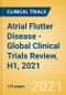 Atrial Flutter Disease - Global Clinical Trials Review, H1, 2021 - Product Thumbnail Image