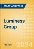 Luminess Group - Strategic SWOT Analysis Review- Product Image