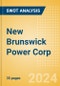 New Brunswick Power Corp - Strategic SWOT Analysis Review - Product Thumbnail Image