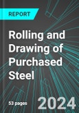 Rolling and Drawing of Purchased Steel (U.S.): Analytics, Extensive Financial Benchmarks, Metrics and Revenue Forecasts to 2030, NAIC 331220- Product Image