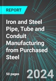 Iron and Steel Pipe, Tube and Conduit Manufacturing from Purchased Steel (U.S.): Analytics, Extensive Financial Benchmarks, Metrics and Revenue Forecasts to 2030, NAIC 331210- Product Image