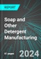Soap and Other Detergent Manufacturing (U.S.): Analytics, Extensive Financial Benchmarks, Metrics and Revenue Forecasts to 2030, NAIC 325611 - Product Image
