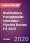 Burkholderia Pseudomallei Infections (Melioidosis) - Pipeline Review, H2 2020 - Product Thumbnail Image