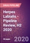 Herpes Labialis (Oral Herpes) - Pipeline Review, H2 2020 - Product Thumbnail Image