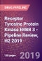 Receptor Tyrosine Protein Kinase ERBB 3 - Pipeline Review, H2 2019 - Product Thumbnail Image