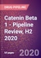 Catenin Beta 1 - Pipeline Review, H2 2020 - Product Thumbnail Image