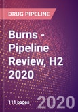 Burns - Pipeline Review, H2 2020- Product Image