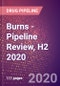 Burns - Pipeline Review, H2 2020 - Product Thumbnail Image