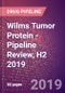 Wilms Tumor Protein (WT33 or WT1) - Pipeline Review, H2 2019 - Product Thumbnail Image