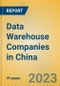 Data Warehouse Companies in China - Product Image