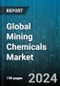 Global Mining Chemicals Market by Type (Collectors, Flocculants, Frothers), Application (Explosives & Drilling, Mineral Processing, Water & Wastewater Treatment) - Forecast 2024-2030 - Product Thumbnail Image