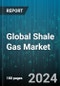 Global Shale Gas Market by Component (Compressors & Pumps, Electrical Machinery, Heat Exchangers), Application (Commercial Applications, Industrial & Manufacturing Applications, Power Generation) - Forecast 2024-2030 - Product Thumbnail Image