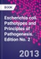 Escherichia coli. Pathotypes and Principles of Pathogenesis. Edition No. 2 - Product Image