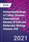 Immunopathology of Celiac Disease. International Review of Cell and Molecular Biology Volume 358 - Product Image