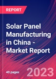 Solar Panel Manufacturing in China - Industry Market Research Report- Product Image