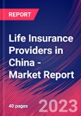 Life Insurance Providers in China - Industry Market Research Report- Product Image