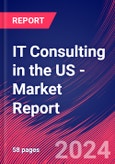 IT Consulting in the US - Industry Market Research Report- Product Image