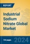 Industrial Sodium Nitrate Global Market Insights 2024, Analysis and Forecast to 2029, by Manufacturers, Regions, Technology, Application - Product Image