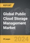 Public Cloud Storage Management - Global Strategic Business Report - Product Image