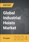 Industrial Hoists - Global Strategic Business Report - Product Thumbnail Image