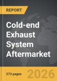 Cold-end Exhaust System Aftermarket- Product Image