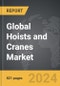 Hoists and Cranes - Global Strategic Business Report - Product Thumbnail Image