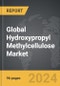 Hydroxypropyl Methylcellulose (HPMC) - Global Strategic Business Report - Product Thumbnail Image
