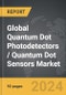 Quantum Dot Photodetectors / Quantum Dot Sensors: Global Strategic Business Report - Product Thumbnail Image