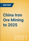 China Iron Ore Mining to 2025 - Updated with Impact of COVID-19- Product Image
