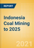 Indonesia Coal Mining to 2025 - Updated with Impact of COVID-19- Product Image