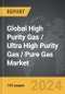 High Purity Gas / Ultra High Purity Gas / Pure Gas - Global Strategic Business Report - Product Thumbnail Image
