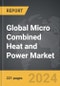 Micro Combined Heat and Power (Micro CHP) - Global Strategic Business Report - Product Thumbnail Image