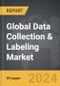 Data Collection & Labeling - Global Strategic Business Report - Product Image