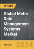 Meter Data Management Systems - Global Strategic Business Report- Product Image