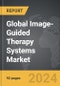 Image-Guided Therapy Systems - Global Strategic Business Report - Product Thumbnail Image