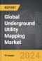 Underground Utility Mapping - Global Strategic Business Report - Product Thumbnail Image