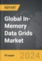 In-Memory Data Grids - Global Strategic Business Report - Product Image