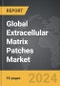 Extracellular Matrix (ECM) Patches - Global Strategic Business Report - Product Thumbnail Image