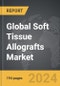 Soft Tissue Allografts - Global Strategic Business Report - Product Thumbnail Image